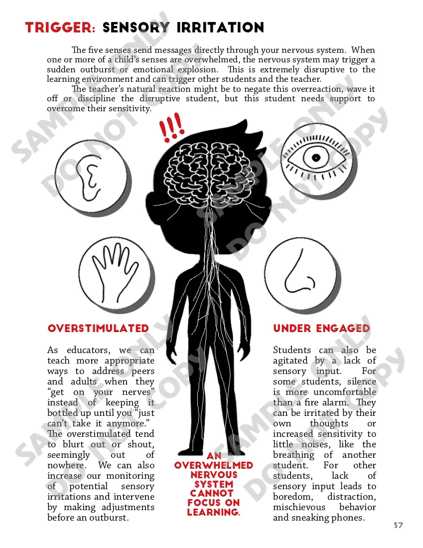 Dealing with Anger in the Classroom - Trigger: Sensory Irritation